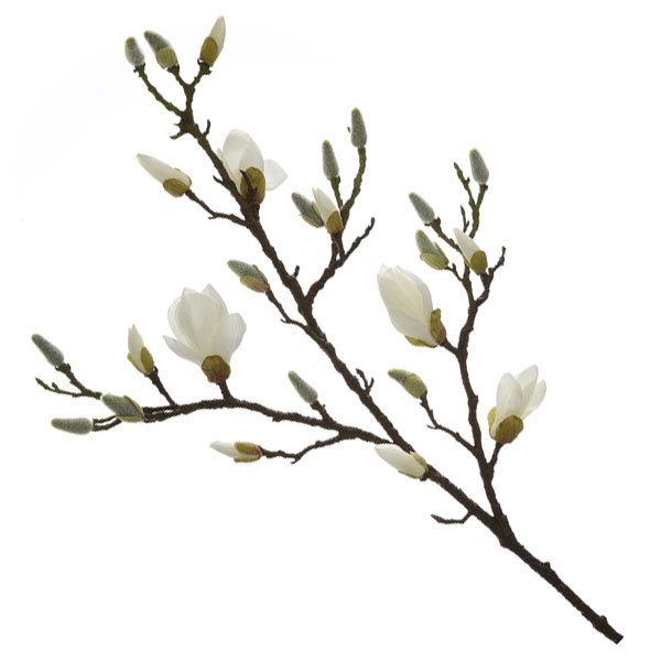 knstlicher Magnolienzweig (101cm) von Fink - erkmann